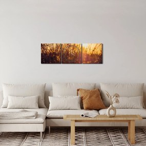 Tablou - Câmp la apus de soare (cu ceas) (90x30 cm)