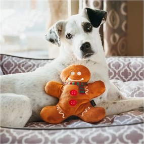 Jucărie pentru câine Gingerbread Man – P.L.A.Y.