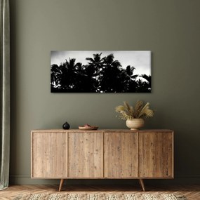 Tablou alb negru - palmieri (120x50 cm)