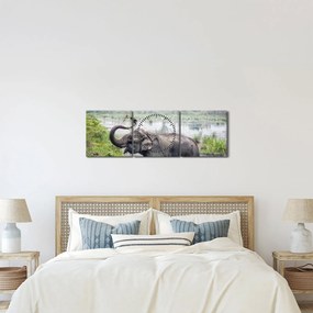 Tablou - Elefant de scăldat (cu ceas) (90x30 cm)