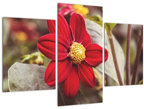 Tablou cu floare (90x60 cm)