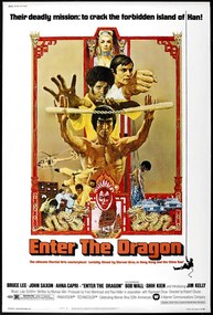 Ilustrație Enter The Dragon 0