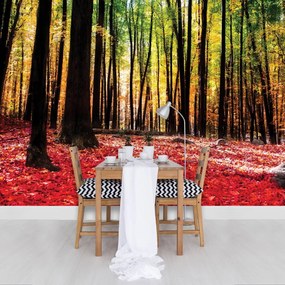 Fototapet - Pădure (254x184 cm)