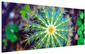 Tablou cu cactus (120x50 cm), în 40 de alte dimensiuni noi
