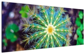 Tablou cu cactus (120x50 cm), în 40 de alte dimensiuni noi