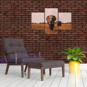 Tablou - Venirea elefantului (90x60 cm)