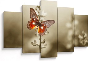 Tablou cu fluture (150x105 cm)