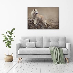 Tablou canvas Lup alb pe stâncă