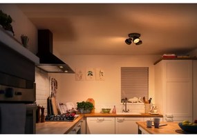 Spot LED dimabil BUKKO 3xLED/4,3W/230V Philips 50603/30/P0