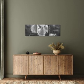 Tablou - Iarba de bumbac (cu ceas) (90x30 cm)