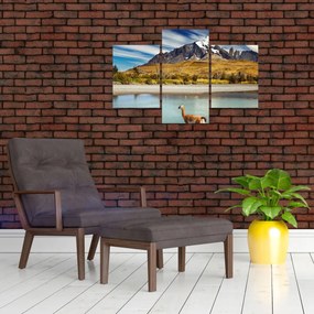 Tablou - Parcul Național Torres del Paine (90x60 cm)