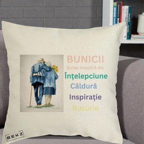 Cadou pentru Bunici - Perna Personalizata Bunicii Sursa Intelepciune Caldura Acuarela, 40x40 cm, Ecru, Husa Detasabila, Perna Inclusa, BEKZ®