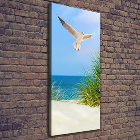 Imprimare tablou canvas Seagull peste dune