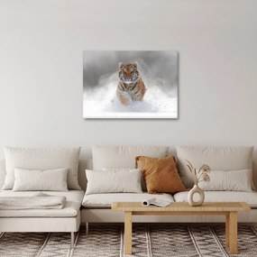 Tablou cutigru fugind prin zăpadă (70x50 cm)