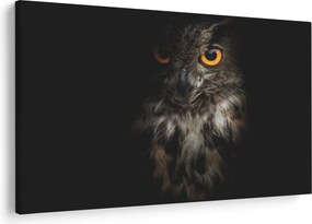 Tablou cu bufnița (90x60 cm)