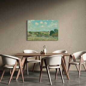 Tablou - Alfred Sisley,  Meadow, reproducere (90x60 cm)