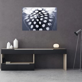 Tablou - Pană (90x60 cm)