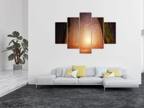 Tablou cu pădurea toamna în ceață (150x105 cm)