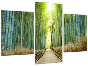 Tablou - Pădure de bambus (90x60 cm)