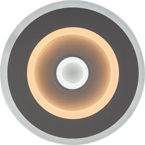 Rabalux 6959 - Plafonieră LED TANELI LED/20W/230V 3000/4000/6000K