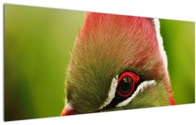 Tablou cu pasărea colorată (120x50 cm)