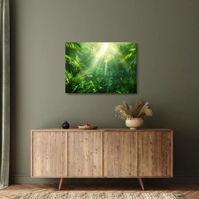 Tablou pe sticlă - Pădurea tropicală (70x50 cm)