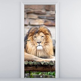 Fototapet pentru ușă - Leul (95x205cm)