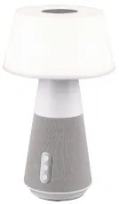 Veioza moderna LED 4.5W cu difuzor DJ R52041101 TRIO