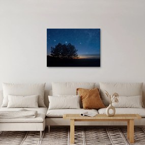 Tablou cu copaci noapte (70x50 cm)