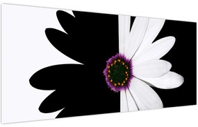Tablou - Floare, alb- negru (120x50 cm)