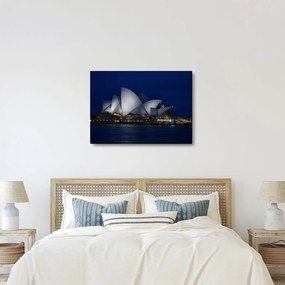 Tabloul Sydney nocturn (70x50 cm)