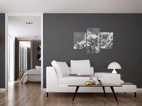 Tablou - Flori uscate (90x60 cm)