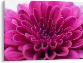 Tablou cu floare (70x50 cm)