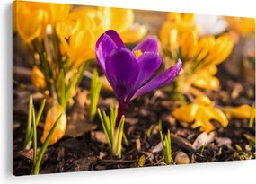 Tablou cu floare violetă (90x60 cm)