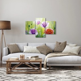 Tablou - Maci (90x60 cm)