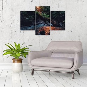 Tablou cu râu montan (90x60 cm)