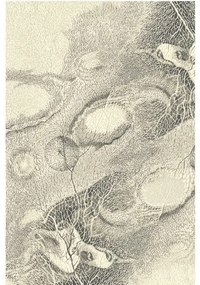 Covor lana Bellona pearl Selectează mărime: 160 X 240