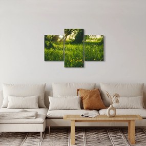 Tablou cu natura - lunca (90x60 cm)