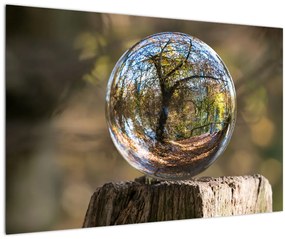 Tablou - Reflecție intr-o sferă transparentă (90x60 cm)