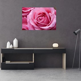 Tablou cu trandafir (90x60 cm)
