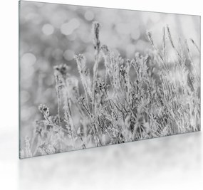 Tablou pe sticlă - Iarna rece (70x50 cm)