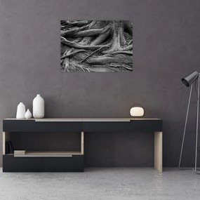 Tablou pe sticlă - Rădăcinile copacului (70x50 cm)