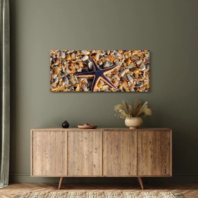 Tablou cu stea de mare (120x50 cm)