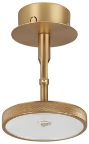 Spot auriu LED ø 12 cm Asteria Spot – UMAGE