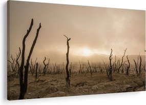 Tablou - Copaci goi (90x60 cm)