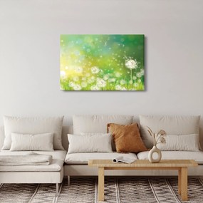 Tablou - Păpădie înflorită (90x60 cm)