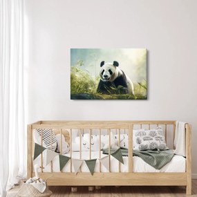Tablou - Panda (90x60 cm)