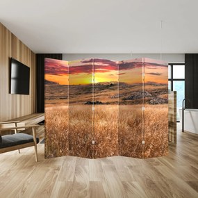 Paravan - Câmp (210x170 cm)