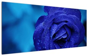 Tablou cu trandafir albastru (120x50 cm)
