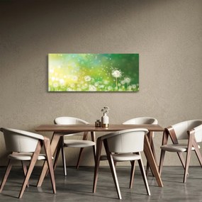 Tablou - Păpădie înflorită (120x50 cm)
